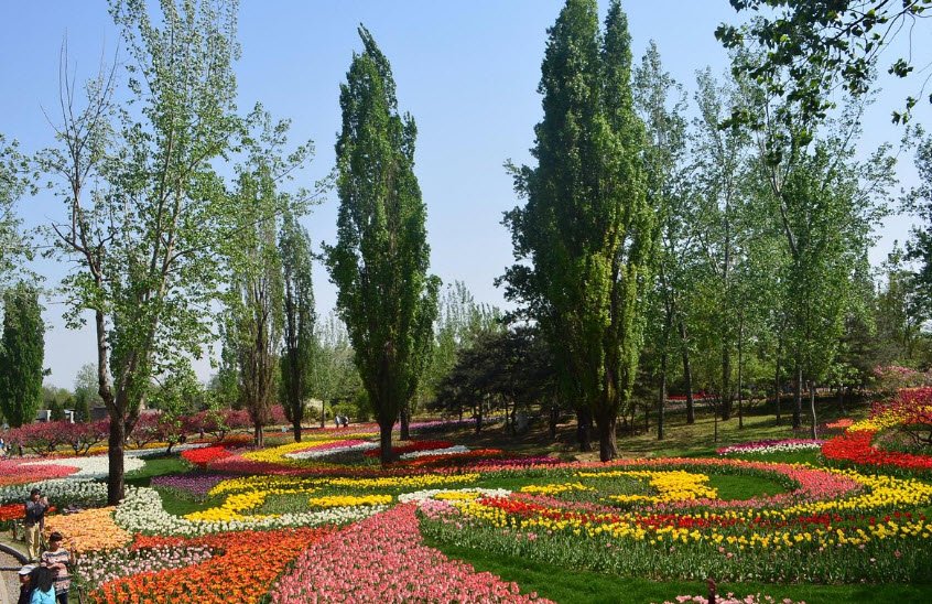 Beijing Botanical Garden, China
